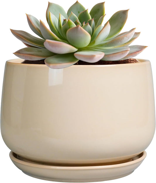 G EPGardening Ceramic Pot for Plants - 6 Inch Planter with Drainage and Ceramic Saucer, Flower Pots