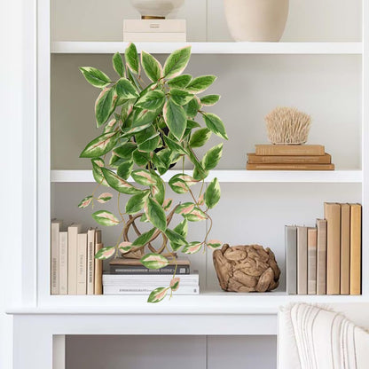 DILATATA Fake Plants Artificial Potted Plants 20 Inch Faux Peperomia Ivy Vine Plant Hanging Plant