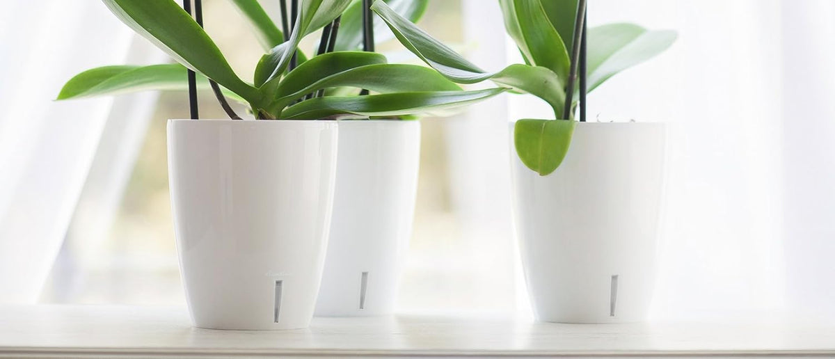 Santino 5.5 Inch ORCHIDEA Self Watering Pots for Orchids in Violet - Decorative Wicking Planter