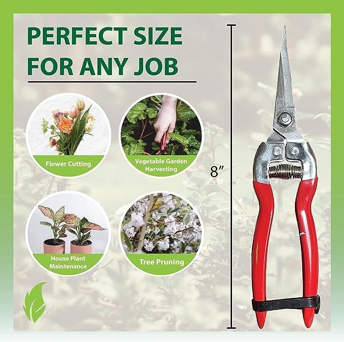 Garden Guru Straight Stainless Steel Pruner Pruning Shears Clippers Snips – Sharp Bonsai Cutter