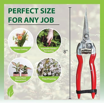 Garden Guru Straight Stainless Steel Pruner Pruning Shears Clippers Snips – Sharp Bonsai Cutter