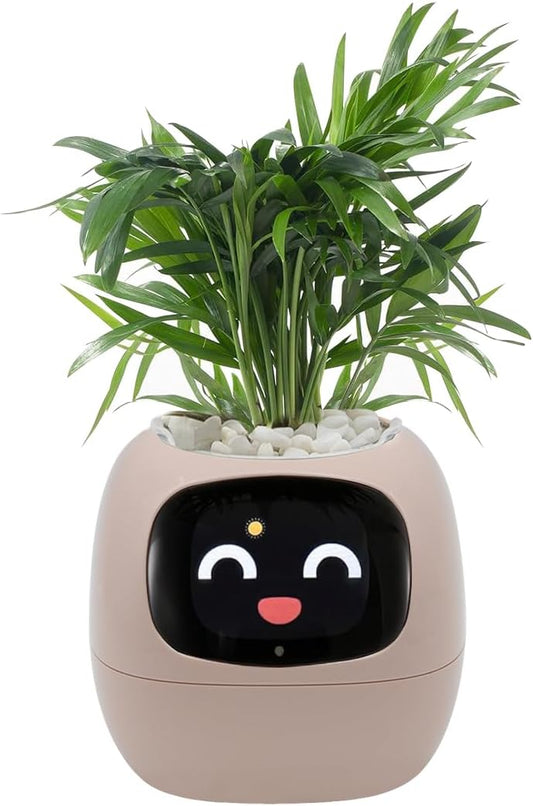 Smart Pet Planter, Smart Plant Pot, With Artificial Intelligence, Time Weather Display, And