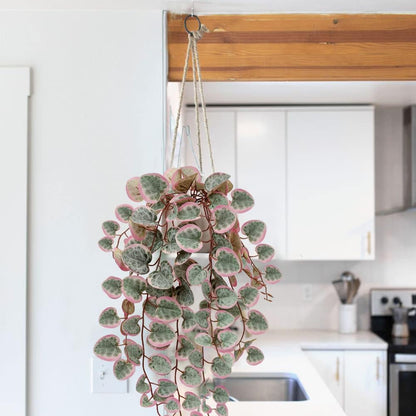 Briful Fake Plants Indoor 16'' Artificial String of Hearts Plants with Ceramic Pot Small Faux