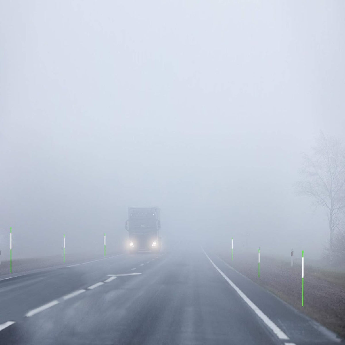 Driveway Markers Snow Stakes 48 inch Green Plow Stakes Reflective Fiberglass, Pack of 50 for