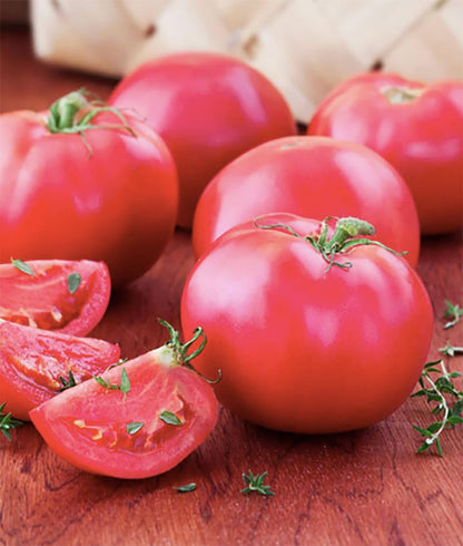 Bradley Tomato Seeds - Determinate Tomato which Makes Canning Easier as The Tomatos Ripen at The