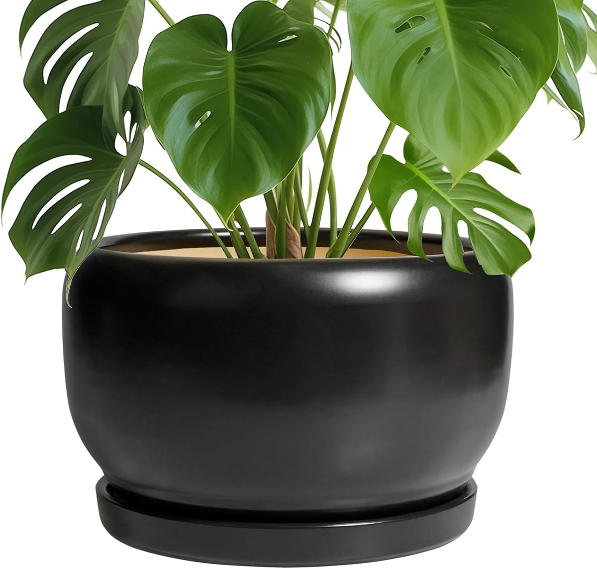 SQOWL Ceramic Flower Pot - 10 Inch Planter with Drainage Hole and Saucer, Modern Large Plant Pot