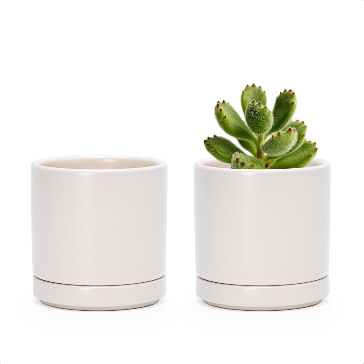 D'vine Dev Set of 2 Plants Pots, 3.5 Inch Ceramic Planter Pot for Plants with Drainage Hole and