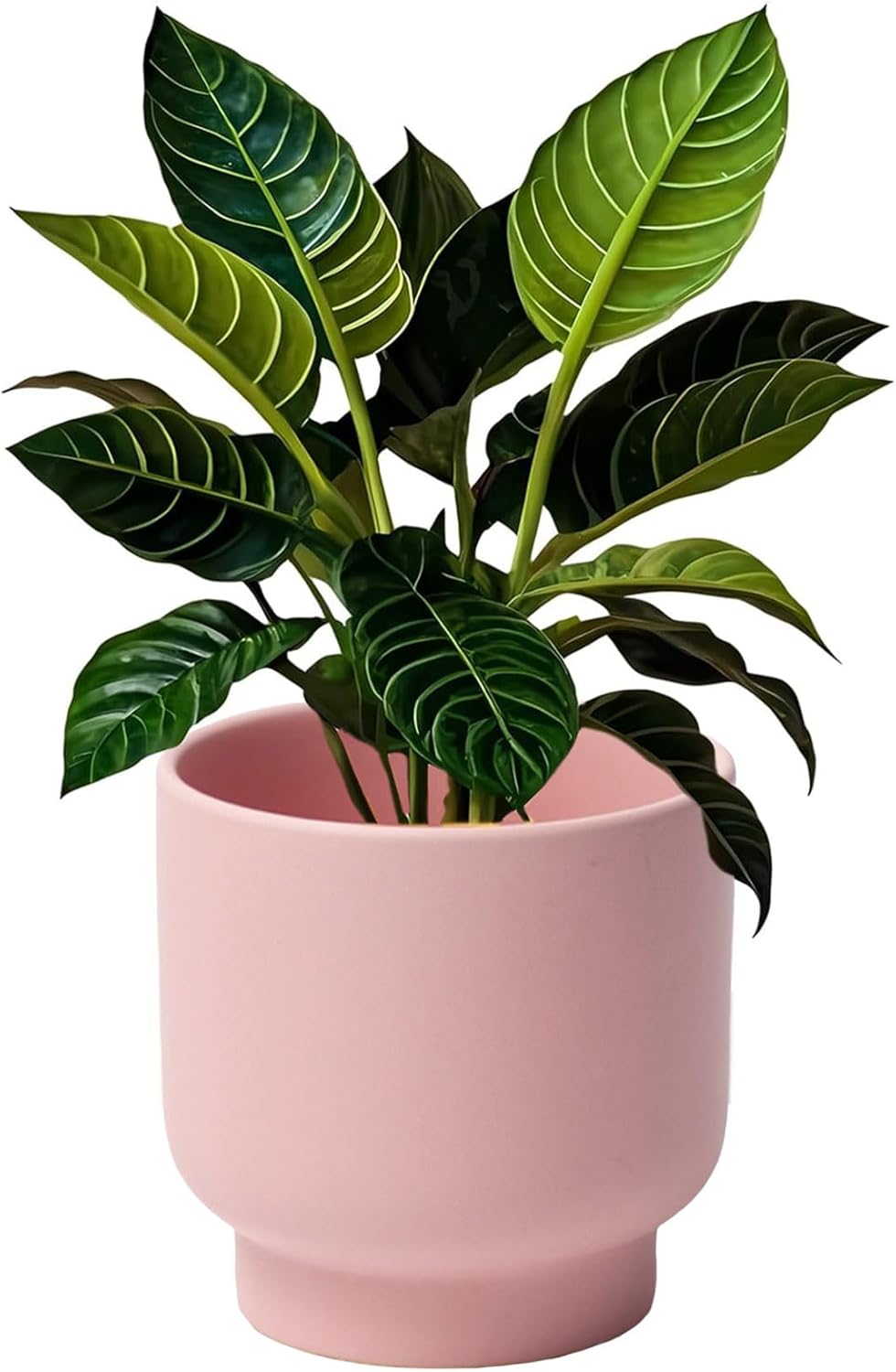 LB Pink Ceramic Plant Pots for Indoor Plants, Succulent Planters Ceramic Plant Pot, Cute Flower
