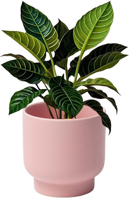 LB Pink Ceramic Plant Pots for Indoor Plants, Succulent Planters Ceramic Plant Pot, Cute Flower