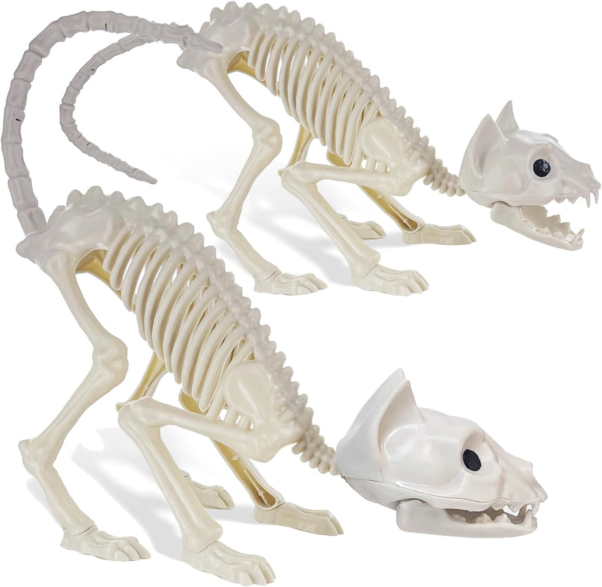 GIFTEXPRESS 2 Pack Real Size Cat Skeleton - 20" Long Creepy Kitten Skeletons with Posable Tail