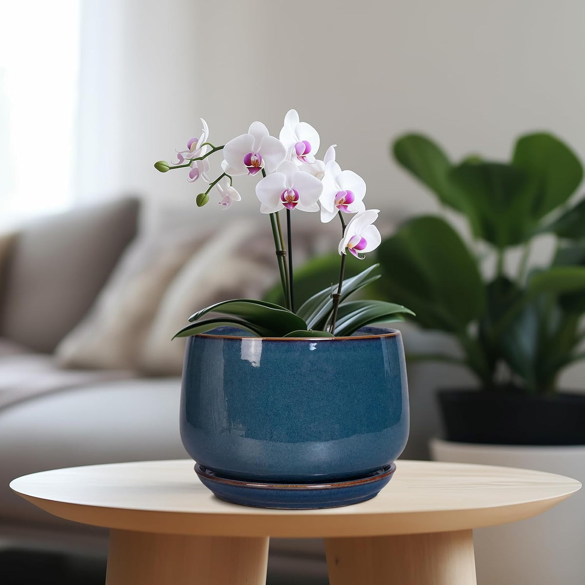 G EPGardening Ceramic Pot for Plants - Modern 7 Inch Round Planter with Drainage and Tray Indoor