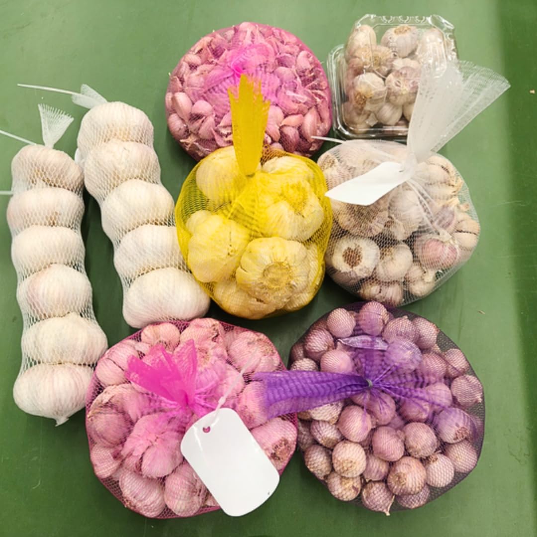 1 Pound Garlic for Planting in Fall Mix Random Softneck Hardneck, 8-10 Assorted Garlic Bulbs for