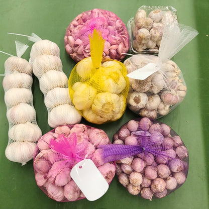 1 Pound Garlic for Planting in Fall Mix Random Softneck Hardneck, 8-10 Assorted Garlic Bulbs for