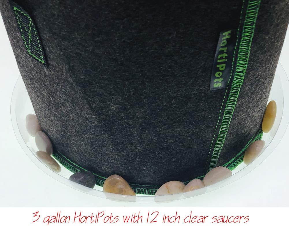 HORTIPOTS Fabric Pots 3 Gallon Non So Floppy Air Pruning Smart Grow Bags Black Gray (Pack of 10)