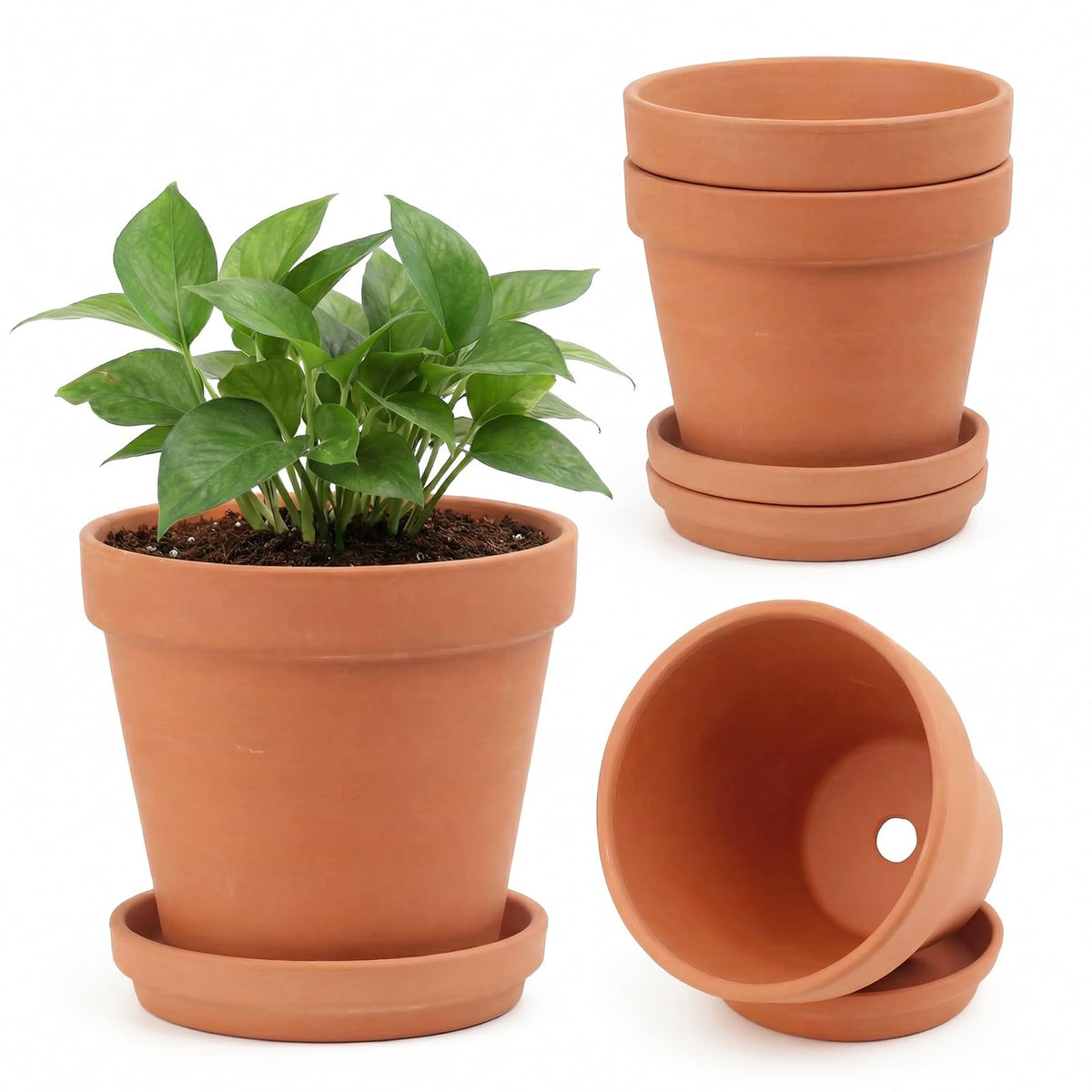 Riseuvo 6 Inch Terracotta Pots with Saucers – 4 Pack Medium Clay Flower Pots with Drainage