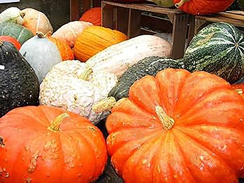 Spookie Pumpkin Seeds - Heirloom