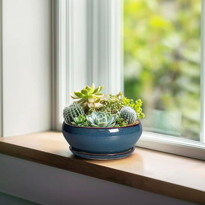 SQOWL Succulent Pots - 6 Inch Ceramic Bonsai Pots, Shallow Planter with Drainage Hole and Saucer