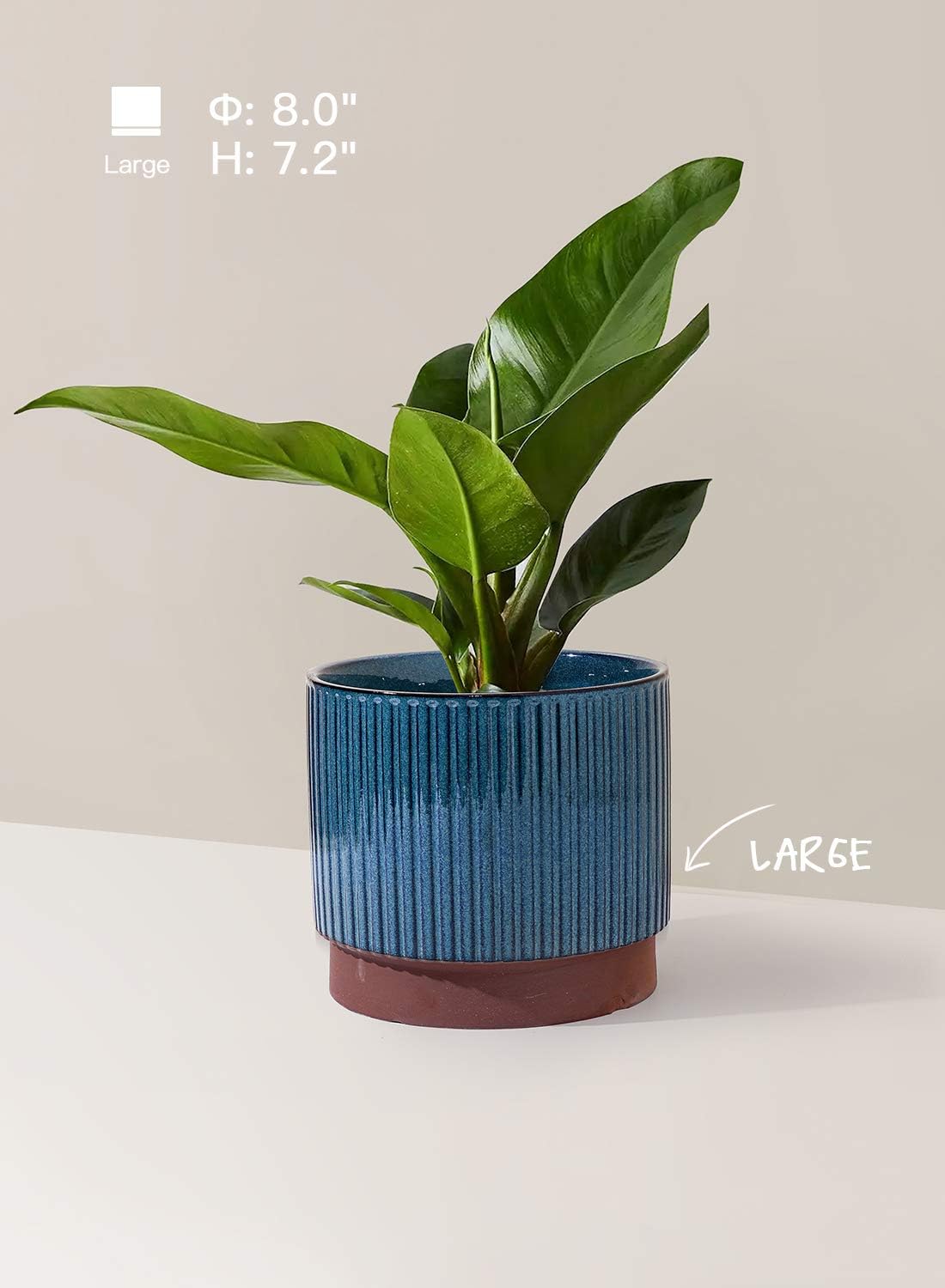 LE TAUCI Ceramic Pots for Plants, 8+6.7+5.5 Inch Plant Pots Indoor, Flower Pot with Drainage Holes