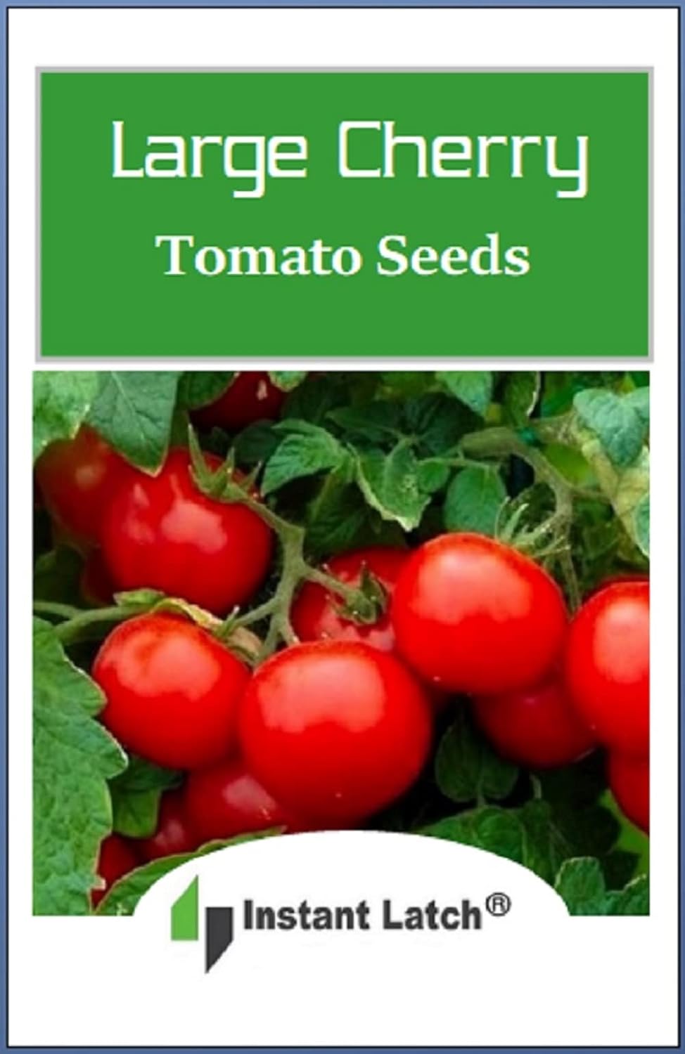 250 Cherry Tomato Seeds Large | Non-GMO | Fresh Garden Seeds