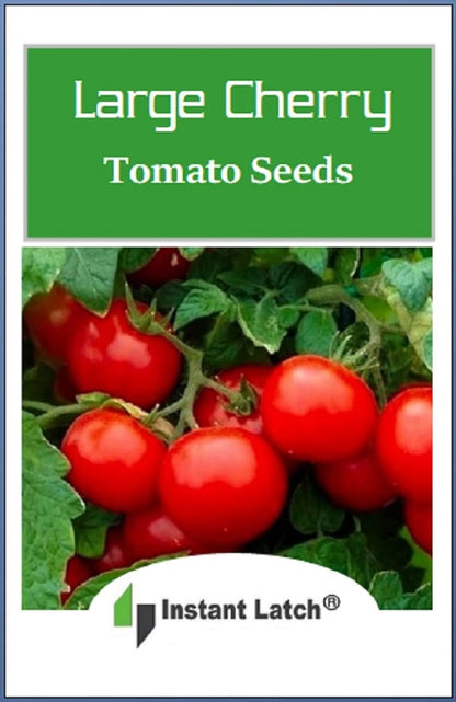 250 Cherry Tomato Seeds Large | Non-GMO | Fresh Garden Seeds