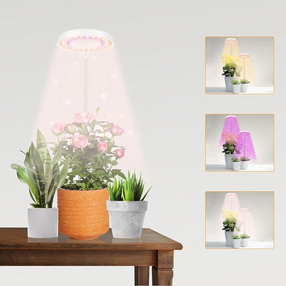 GooingTop LED Grow Light, Halo Plant Lamp for Indoor Plants Growing, White Low Light for Succulents