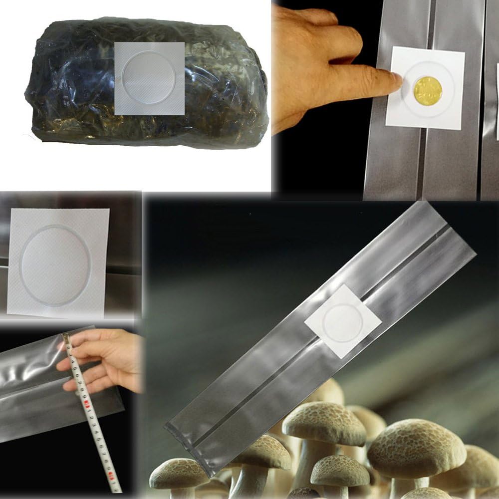 SUCOHANS 10 Count Mushroom Bags - Medium Size 5" X 5" X 19", 0.2 Micron Filter, 2.5 Mil