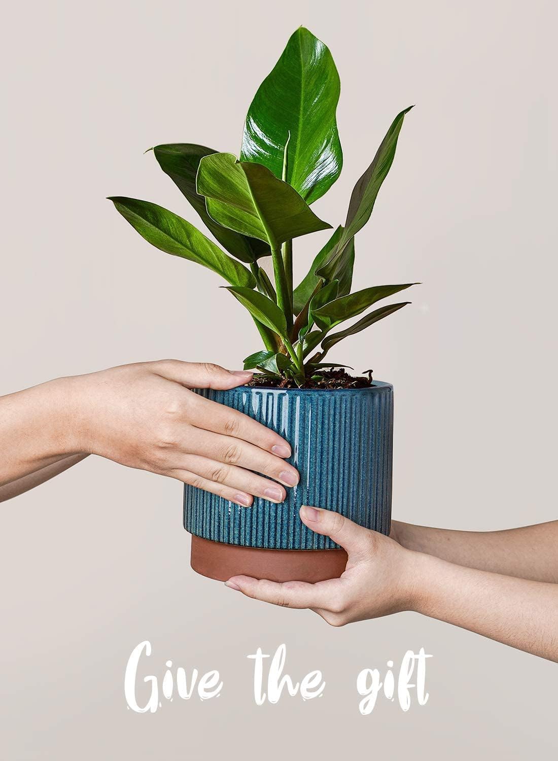 LE TAUCI Ceramic Pots for Plants, 8+6.7+5.5 Inch Plant Pots Indoor, Flower Pot with Drainage Holes