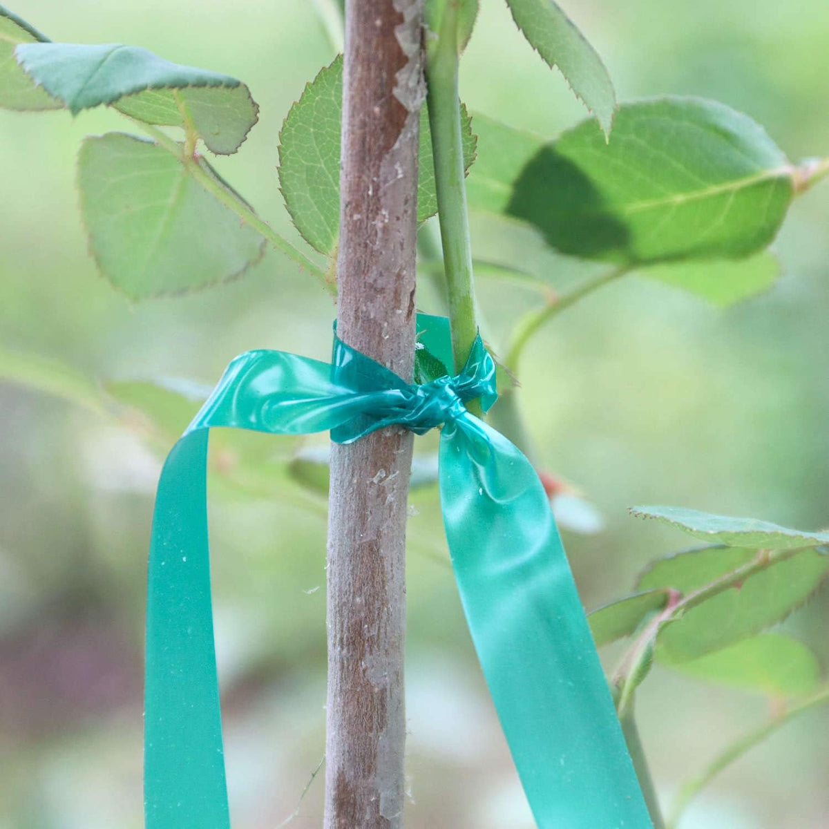 20 Pack Total 2700 Feet Stretch Tie Tape Roll 1/2" Garden Tape Sturdy Garden Plant Ties Green Vinyl