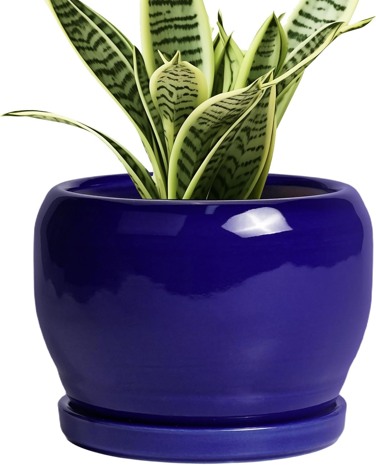 SQOWL Ceramic Planters for Indoor Plants - 6 Inch Plant Pot with Drainage Hole and Saucer, Round