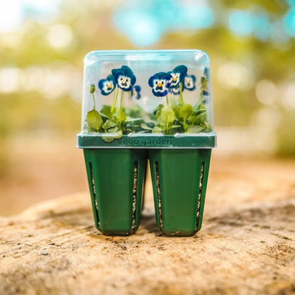 Vego garden Seedling Suite Products, 4 Pack Jumbo Seedling Trays with Seedling Tray Lids and 10" x