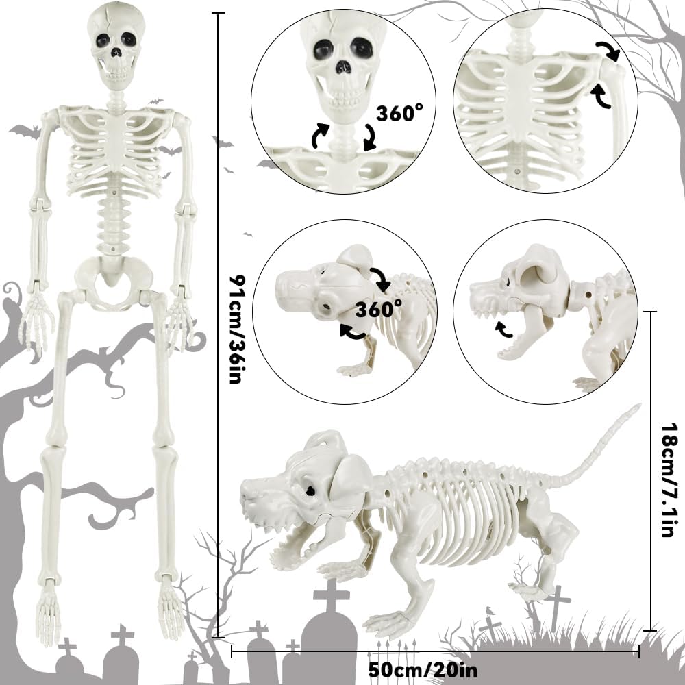 YUJUN 36'' Halloween Skeleton Decoration with Dog Skeleton, 3ft Full Body Posable Skeleton