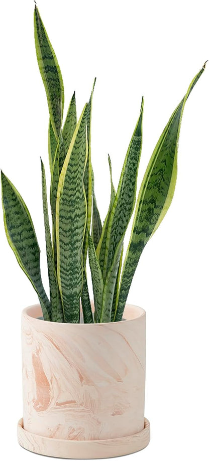 5 inch Plant Pot - Terra Cotta Flower Planters Indoor - Modern Succulents Containers with Drain