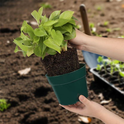 15 Pack 4/6/8 Inch Plant Nursery Pots, Thickened Plastic Pots for Plants with Drainage Holes