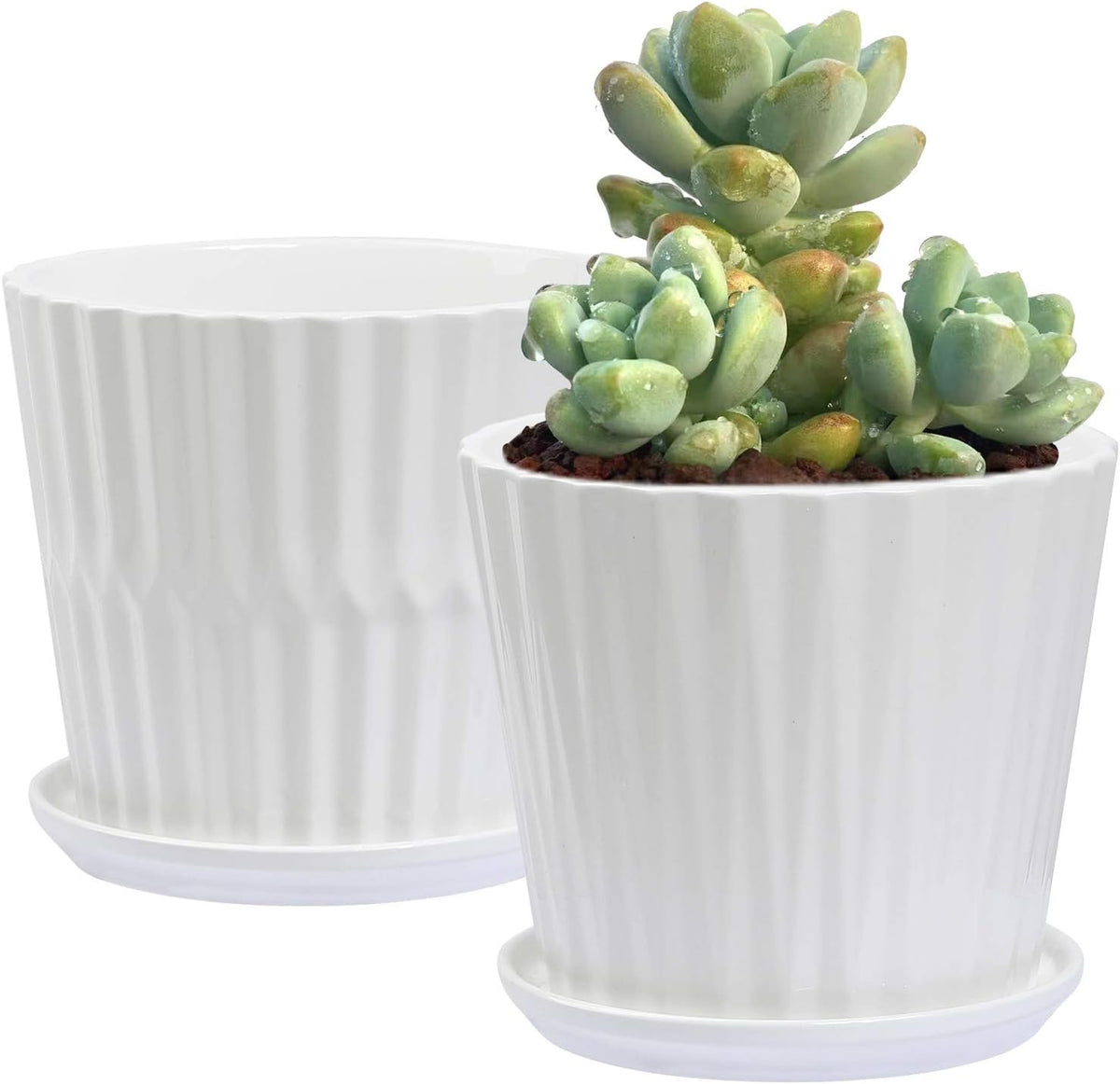 Plant Pots - 6.7 Inch Cylinder Ceramic Planters with Connected Saucer, Pots for Succuelnt and