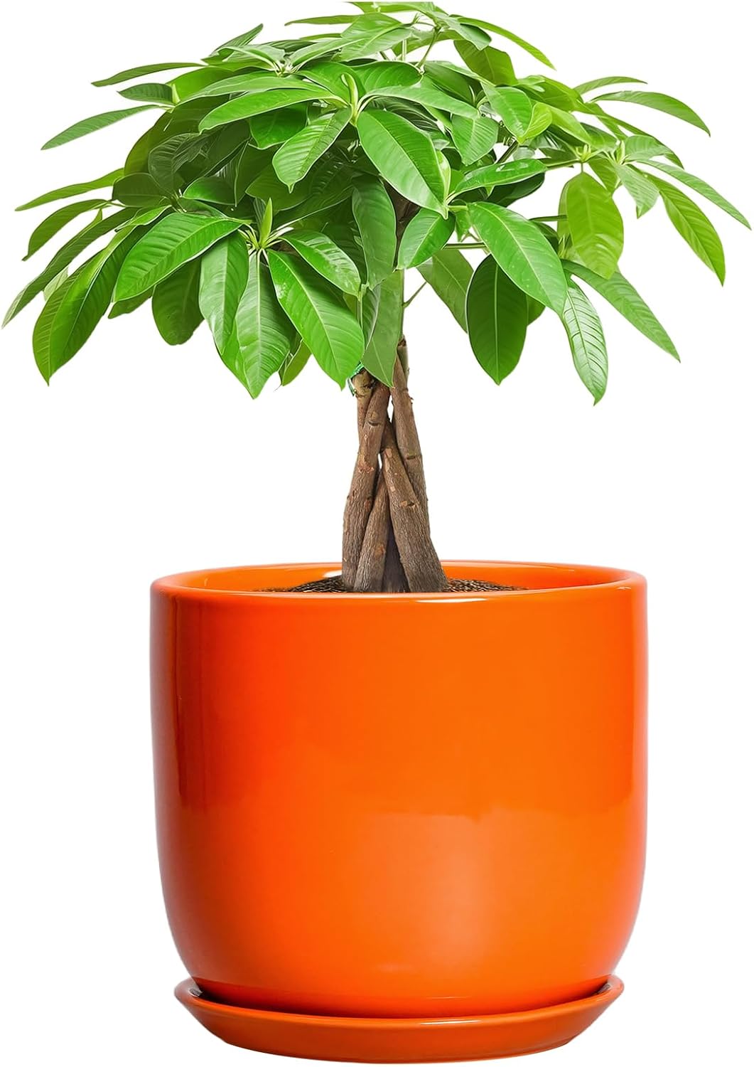 7 Inch Plant Pot - Ceramic Planter with Drainage Hole and Saucer, Modern Round Ceramic Flower Pot