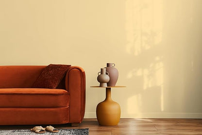 EVOLVE Paint & Primer: Environment-friendly, Low Sheen with One-coat Coverage for Interior &