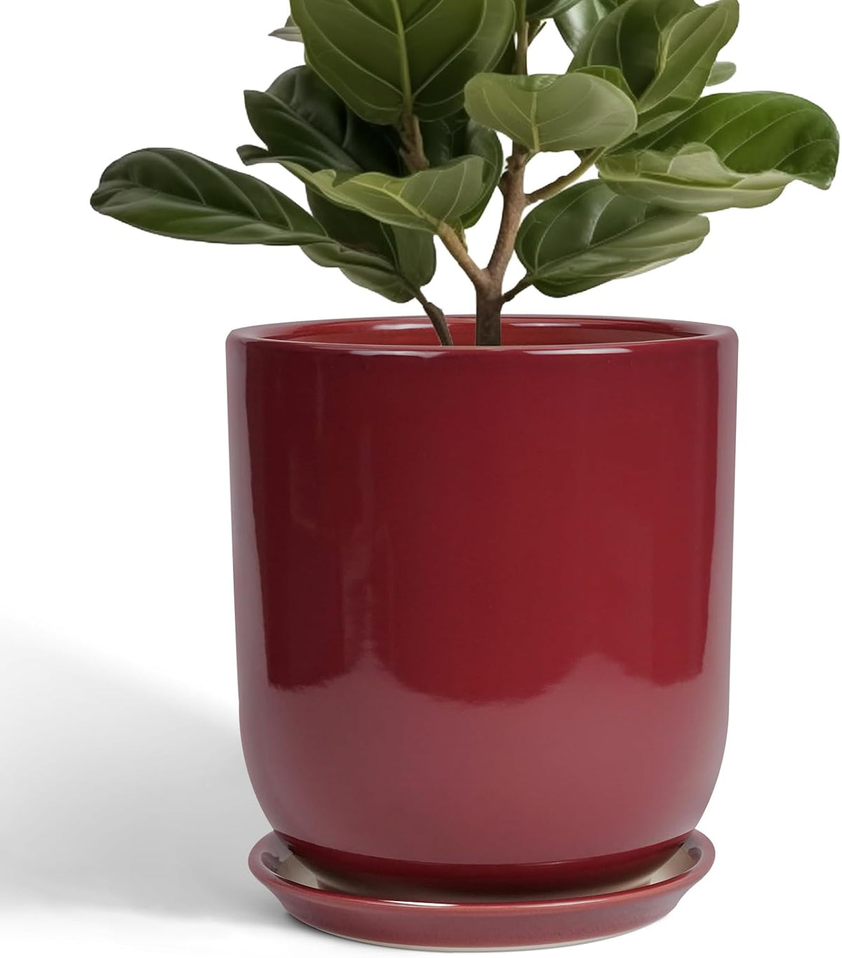 Ceramic Planter for Plants - 10 Inch Plant Pot Indoor with Drainage Hole and Saucer Modern Large