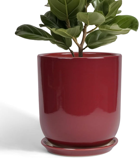 Ceramic Planter for Plants - 10 Inch Plant Pot Indoor with Drainage Hole and Saucer Modern Large