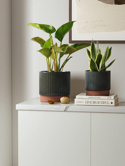 LE TAUCI Ceramic Plant Pots with Drainage Holes, Set of 3, 8+6.7+5.5 Inch Stripe Garden Planter