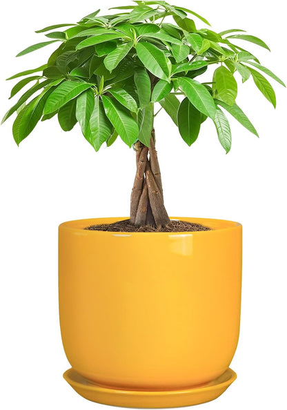 Indoor Plant Pot - 7 Inch Modern Round Ceramic Planter for Indoor Outdoor Plants with Drainage Hole
