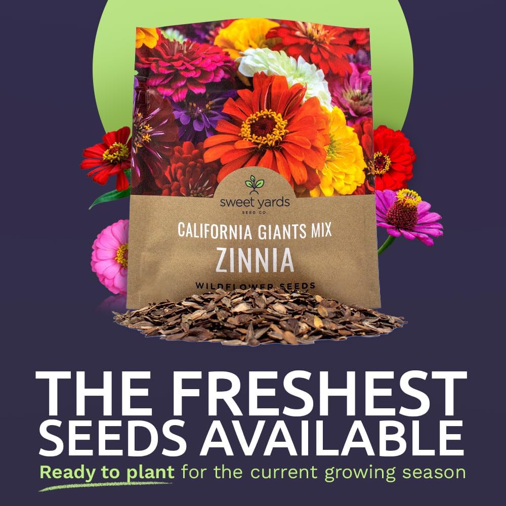 Zinnia Seeds - California Giants Mix - Large 1 Ounce Packet - 3,000 Flower Seeds - Mixed Colors and