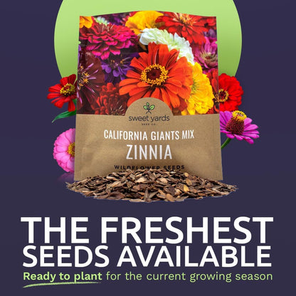 Zinnia Seeds - California Giants Mix - Large 1 Ounce Packet - 3,000 Flower Seeds - Mixed Colors and