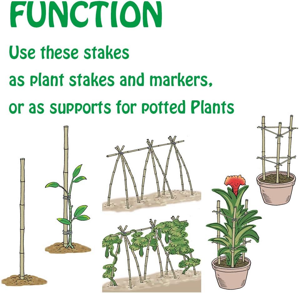 Mininfa Natural Bamboo Stakes 6 Feet, Eco-Friendly Garden Stakes, Plant Stakes Supports Climbing