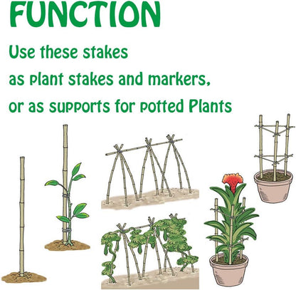 Mininfa Natural Bamboo Stakes 6 Feet, Eco-Friendly Garden Stakes, Plant Stakes Supports Climbing