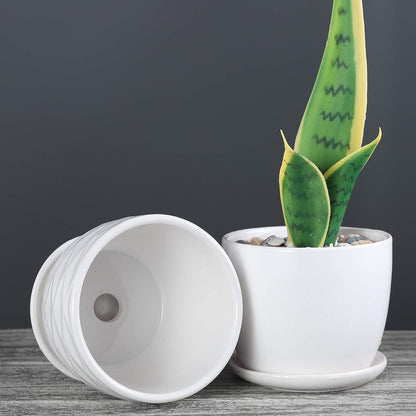 Plant Pots - 4.7 Inch Cylinder Ceramic Planters with Connected Saucer, Pots for Succuelnt and