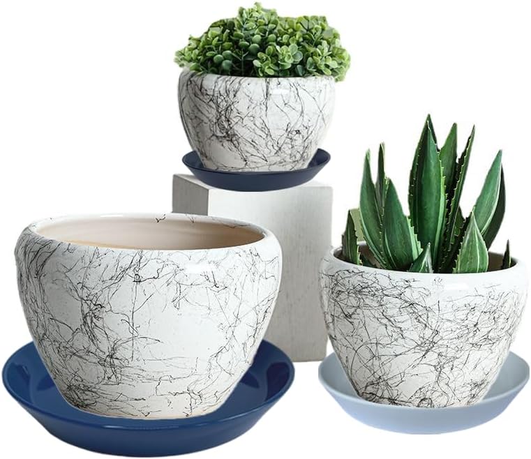 4 Pack of Plant Saucer, 5 inch Glazed Ceramic Plant Tray, Deep Drainage Tray for 4 Inch Flower