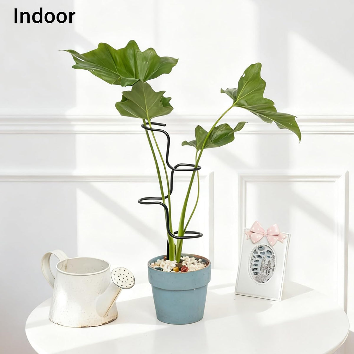 3PCS Indoor Plant Support Stakes - Sturdy Metal Trellis for Garden Flowers & Monstera, Durable &