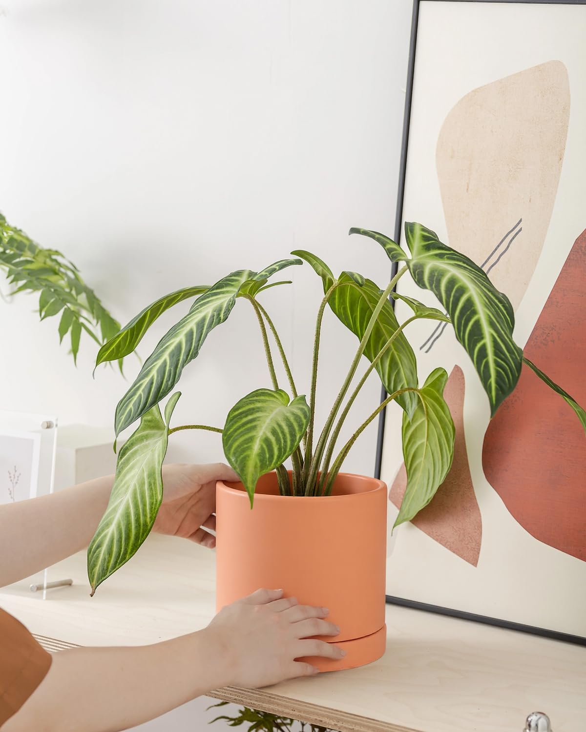 Terracotta Pots with Drainage and Saucers, 3.5/4.2/5.2/6 Inch Clay Planters