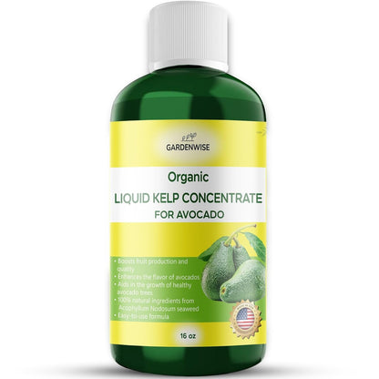 Organic Premium Kelp Seaweed Fertilizer - Liquid Plant Food - Nutrient-Rich Soil Enhancer