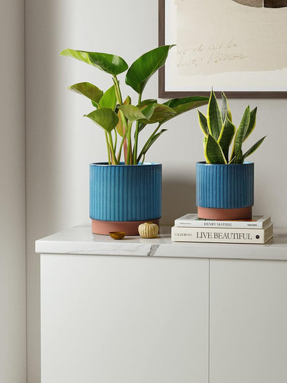 LE TAUCI Ceramic Pots for Plants, 8+6.7+5.5 Inch Plant Pots Indoor, Flower Pot with Drainage Holes